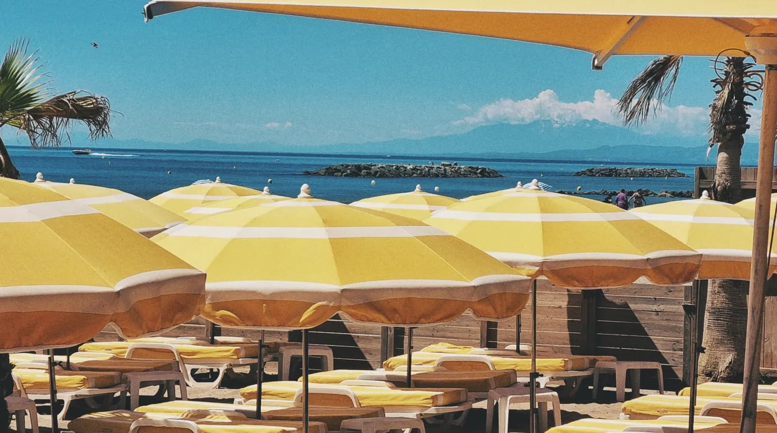 Parasols jaunes face à la mer